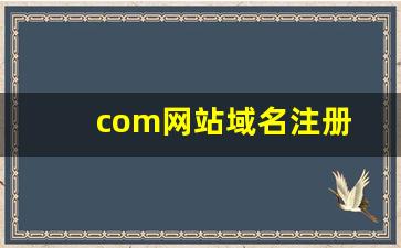 com网站域名注册