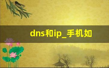 dns和ip_手机如何查看网络ip