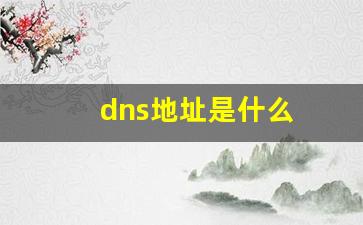 dns地址是什么