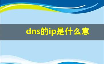 dns的ip是什么意思_dns异常是什么意思