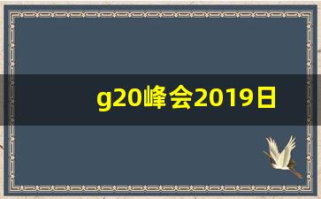 g20峰会2019日本_2018g20峰会在哪个国家举行