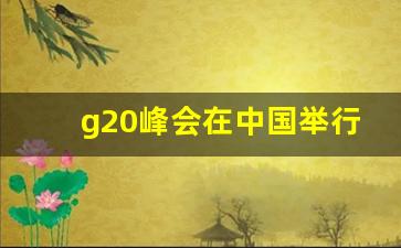 g20峰会在中国举行了几次