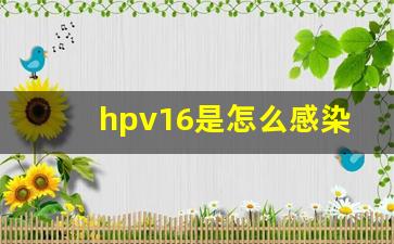 hpv16是怎么感染上的