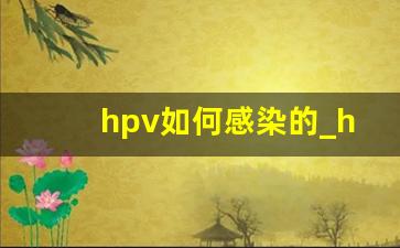 hpv如何感染的_hpv初期小红点照片