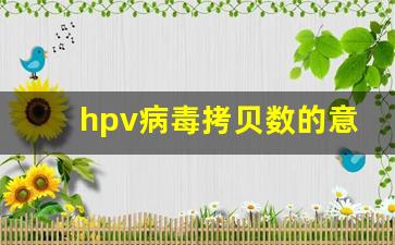 hpv病毒拷贝数的意义