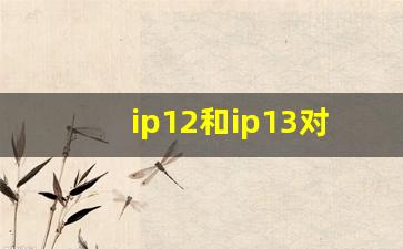 ip12和ip13对比_ip11多重