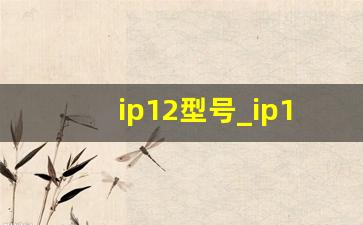 ip12型号_ip12什么时候出