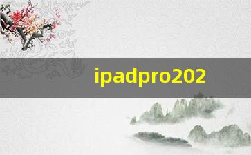 ipadpro2021支持二代笔吗