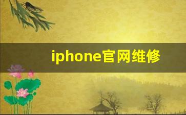 iphone官网维修_苹果手机摔出一条白色光条