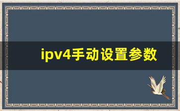 ipv4手动设置参数多少_电脑配置ip地址和DNS