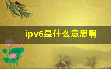 ipv6是什么意思啊