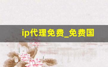 ip代理免费_免费国外在线代理服务器