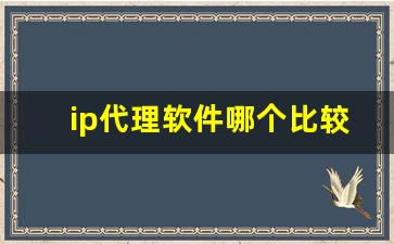 ip代理软件哪个比较好