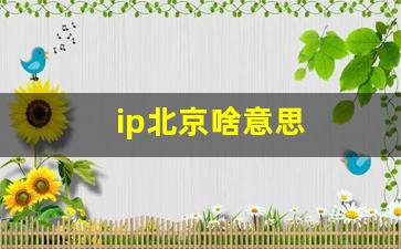 ip北京啥意思