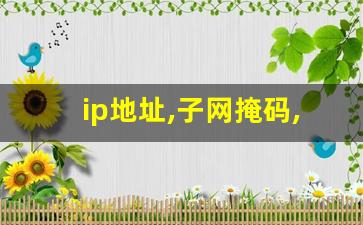 ip地址,子网掩码,默认网关,dns_ip地址,子网掩码,默认网关什么关系