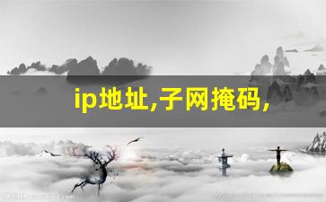 ip地址,子网掩码,默认网关_ipv4手动设置参数