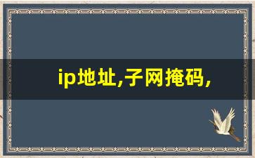 ip地址,子网掩码,默认网关什么关系_子网掩码是什么