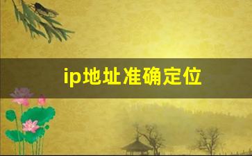 ip地址准确定位