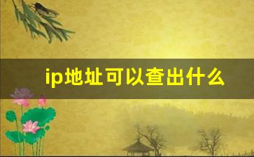 ip地址可以查出什么_公司查ip地址干什么