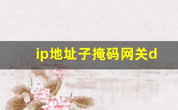 ip地址子掩码网关dns怎么填_ip地址,子网掩码,默认网关,dns