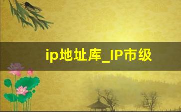 ip地址库_IP市级库