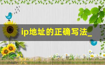 ip地址的正确写法_下面ip地址中正确的是什么