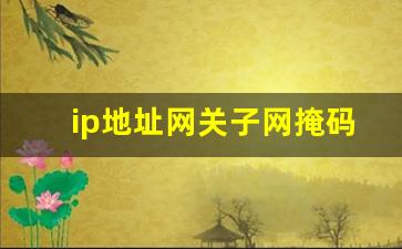 ip地址网关子网掩码