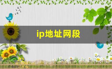 ip地址网段