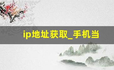 ip地址获取_手机当前IP地址