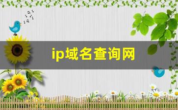 ip域名查询网