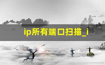 ip所有端口扫描_ip扫描工具