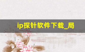 ip探针软件下载_局域网ip查询工具