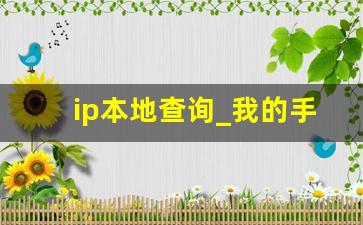 ip本地查询_我的手机IP地址