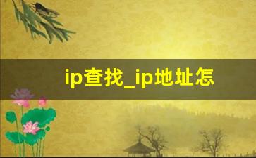 ip查找_ip地址怎么改