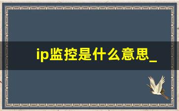 ip监控是什么意思_监控ip地址一般是多少