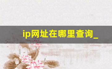 ip网址在哪里查询_IP地址归属地查询