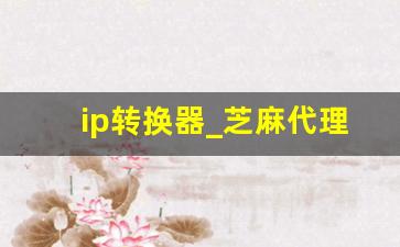 ip转换器_芝麻代理ip官网