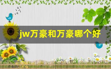 jw万豪和万豪哪个好_w酒店和jw档次一样么