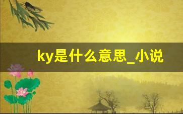 ky是什么意思_小说拒绝ky是什么意思