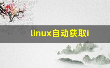 linux自动获取ip地址命令