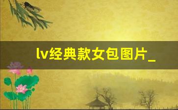 lv经典款女包图片_lv经典款女包