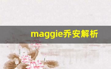 maggie乔安解析密码_乔安监控重置密码