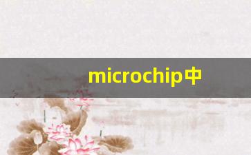 microchip中国公司