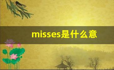 misses是什么意思_Misse