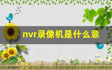 nvr录像机是什么意思_nvr与dvr的区别