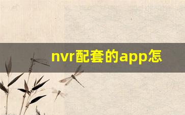 nvr配套的app怎么下载_海康录像机app下载