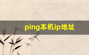 ping本机ip地址的作用_ping网址有什么用