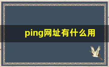 ping网址有什么用