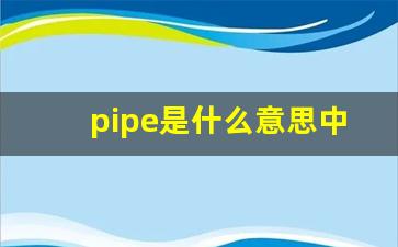 pipe是什么意思中文_dishonoring什么意思