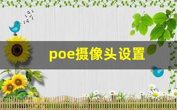 poe摄像头设置